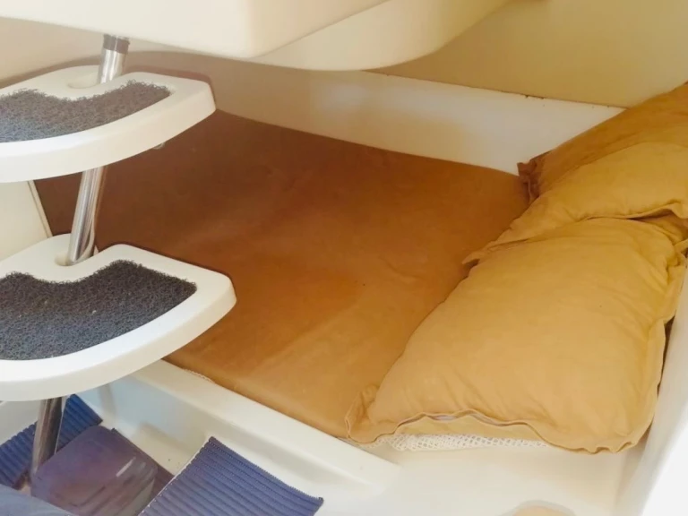 Salpa laver 20.5 między profesjonalistami a osobami prywatnymi w Mandelieu-la-Napoule