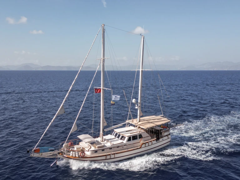 Wynajmij  Junior Tarkan - Premium Gulet w Fethiye