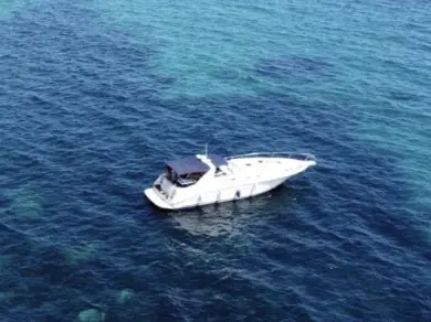 Motorówka do wynajmu w Las Tres Cales w najlepszej cenie