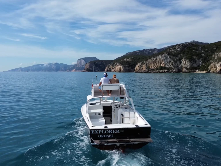 Wynajem Motorówka Bertram z patentem 