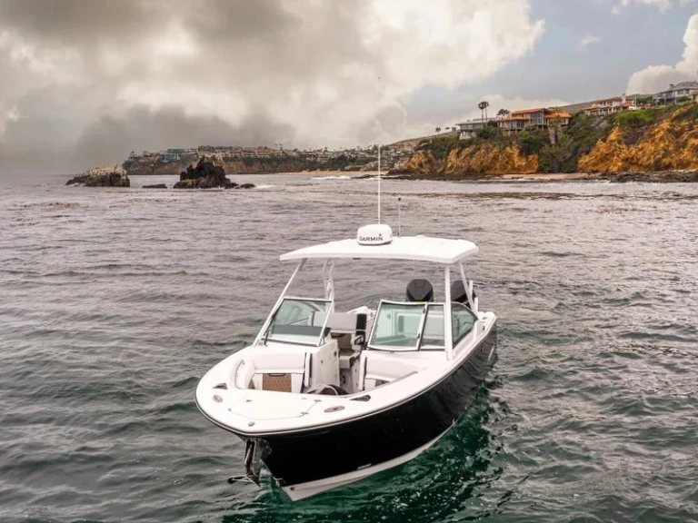 Wynajem łodzi Blackfin 272 DC  w West Palm Beach na SamBoat 