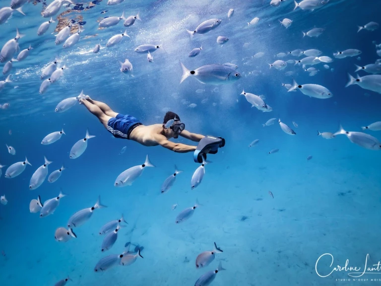 Wynajem w Porto-Vecchio- Lomac Lomac 540 IN na SamBoat