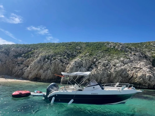 Pacific Craft Pacific Craft 650 WA między profesjonalistami a osobami prywatnymi w Francja