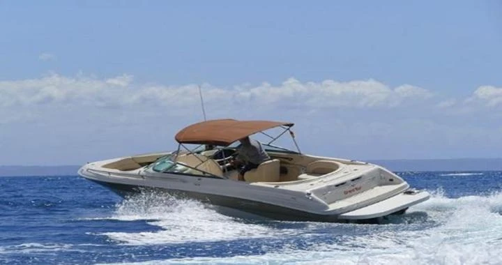 Sea Ray Sea Ray 260 między profesjonalistami a osobami prywatnymi w Santa Ponsa