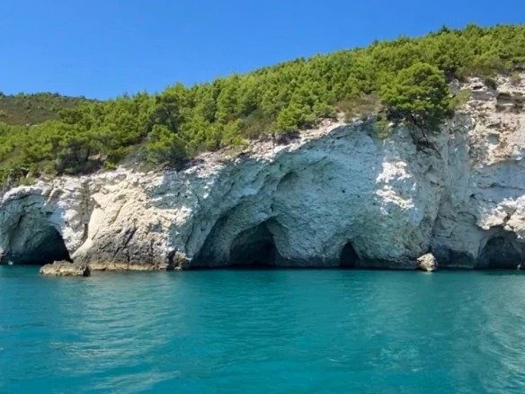 Wynajem łodzi Bénéteau Cyclades 43.3 w Vieste na SamBoat 