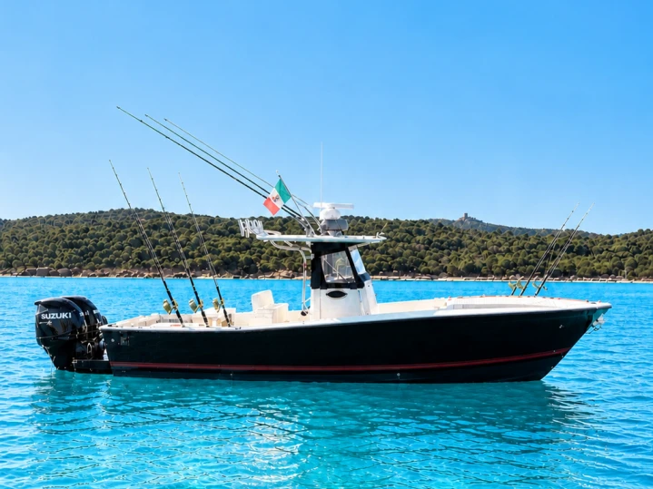 Wynajem łodzi Marina di Portisco tanio All custom