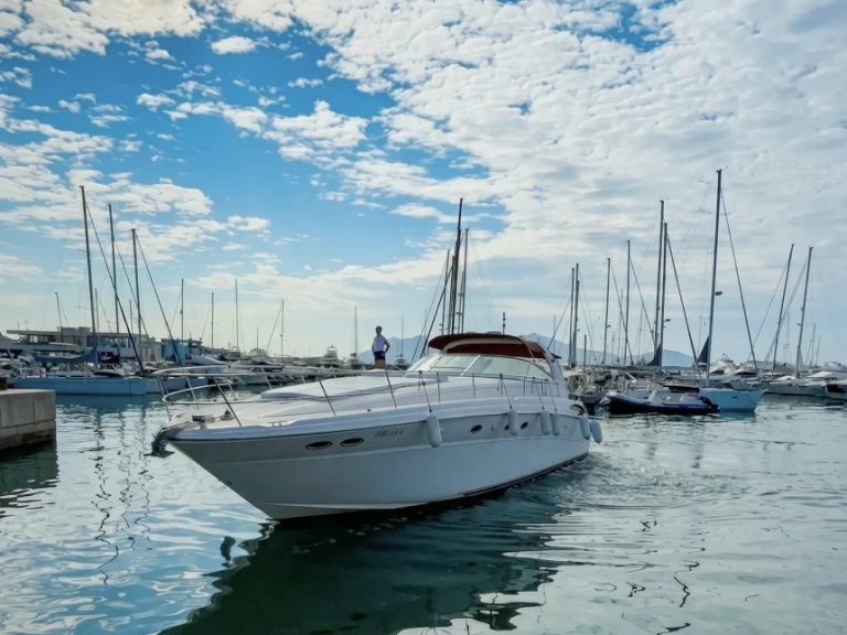 Sea Ray Sundancer 550 między profesjonalistami a osobami prywatnymi w Port de Pollenca
