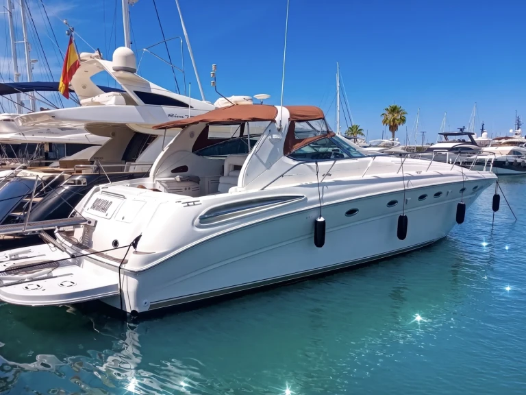 Wynajmij Motorówka z lub bez skippera Sea Ray w Port de Pollenca