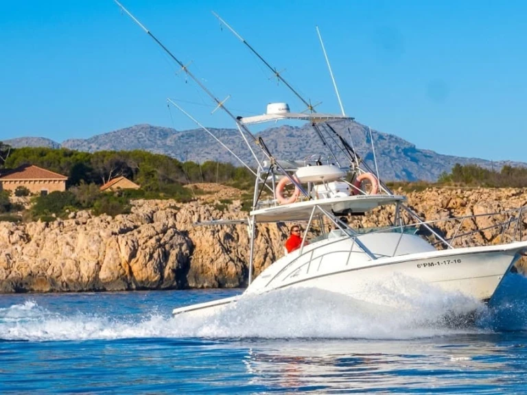 Motorówka do wynajmu w Port de Pollenca w najlepszej cenie