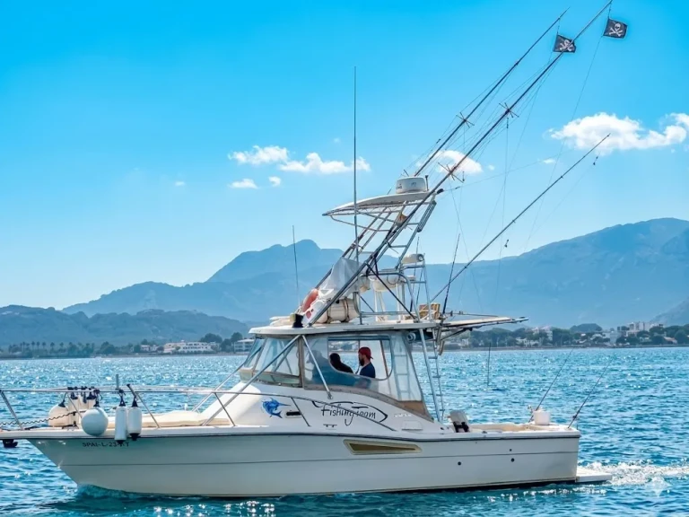 Wynajem łodzi Port de Pollenca tanio 3100 open