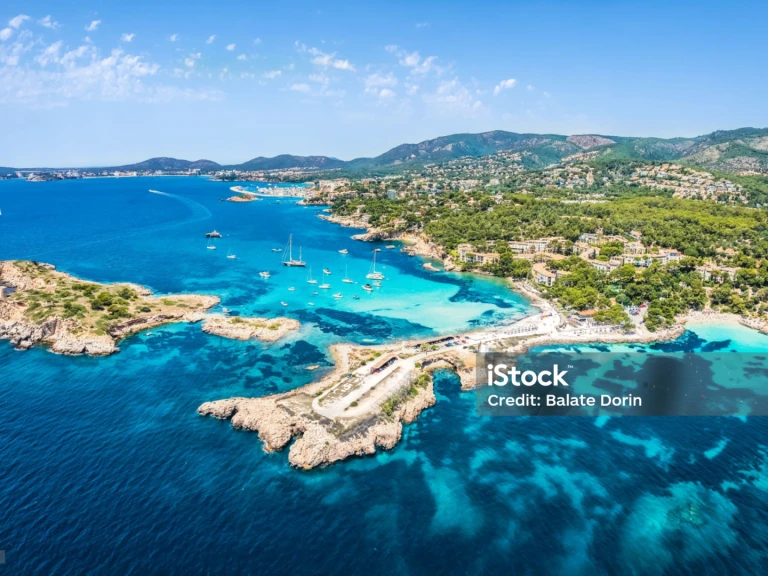 Four Winns H 260 między profesjonalistami a osobami prywatnymi w Palma de Mallorca