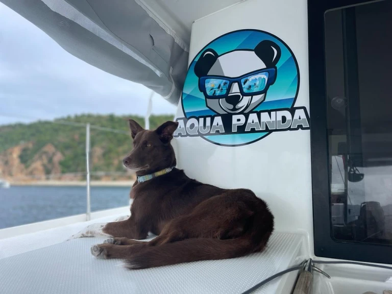 Wynajem Katamaran w Tortola - Fountaine Pajot Lucia 40