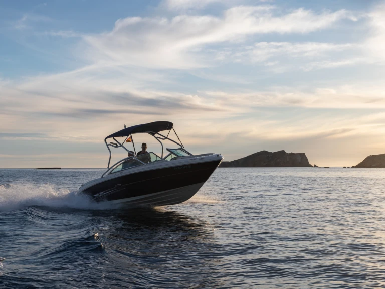 Sea Ray Sea Ray 220 Select między profesjonalistami a osobami prywatnymi w Sant Antoni de Portmany