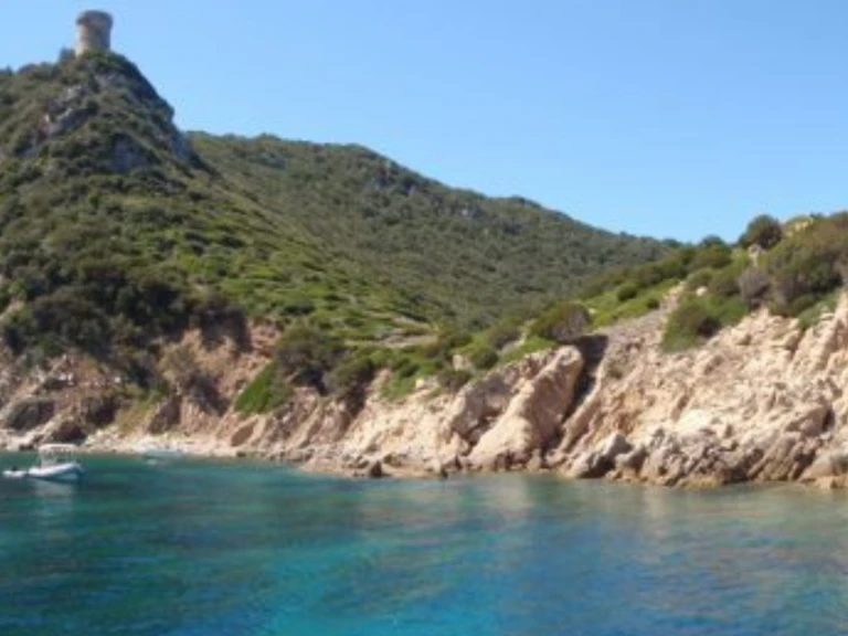 Fountaine Pajot Louisiane między profesjonalistami a osobami prywatnymi w Ajaccio