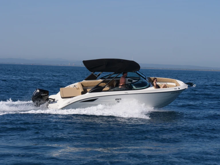 Wynajem Motorówka Sea Ray z patentem 