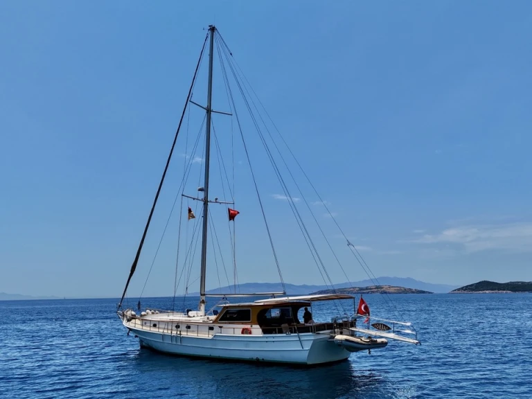 Custom Made Zorbas między profesjonalistami a osobami prywatnymi w Bodrum