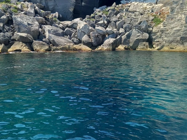Wynajem w Marsala- Combac Shark  na SamBoat
