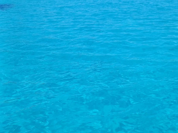 Wynajmij Combac Shark  w Marsala