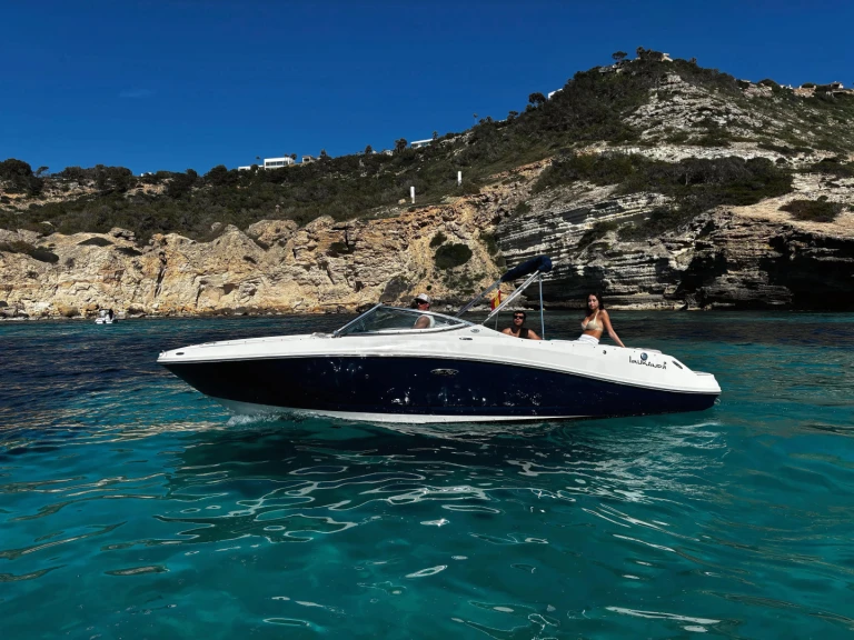 Wynajem Motorówka Sea Ray z patentem 