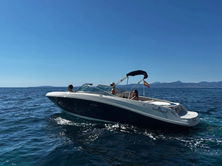 Wynajem w Port d'Andratx- Sea Ray Sea Ray 230 na SamBoat
