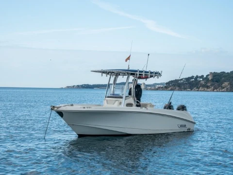 Wynajem Motorówka Boston Whaler z patentem 