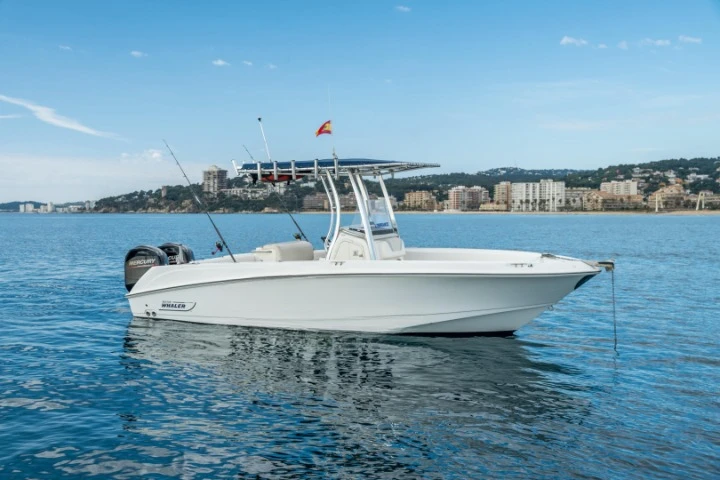 Boston Whaler Boston Whaler 220 Outrage między profesjonalistami a osobami prywatnymi w Marina de Palamós
