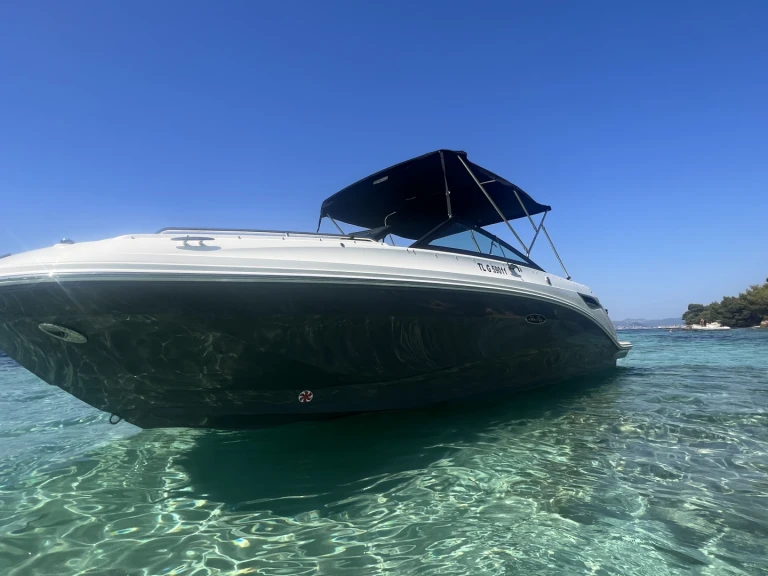 Sea Ray  250 sdx między profesjonalistami a osobami prywatnymi w Port Fréjus