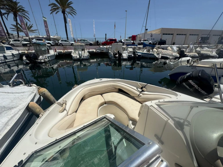 Wynajem Motorówka Sea Ray z patentem 