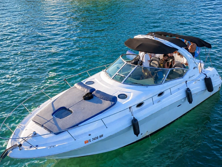 Sea Ray Sea Ray 340 Sundancer między profesjonalistami a osobami prywatnymi w Miami