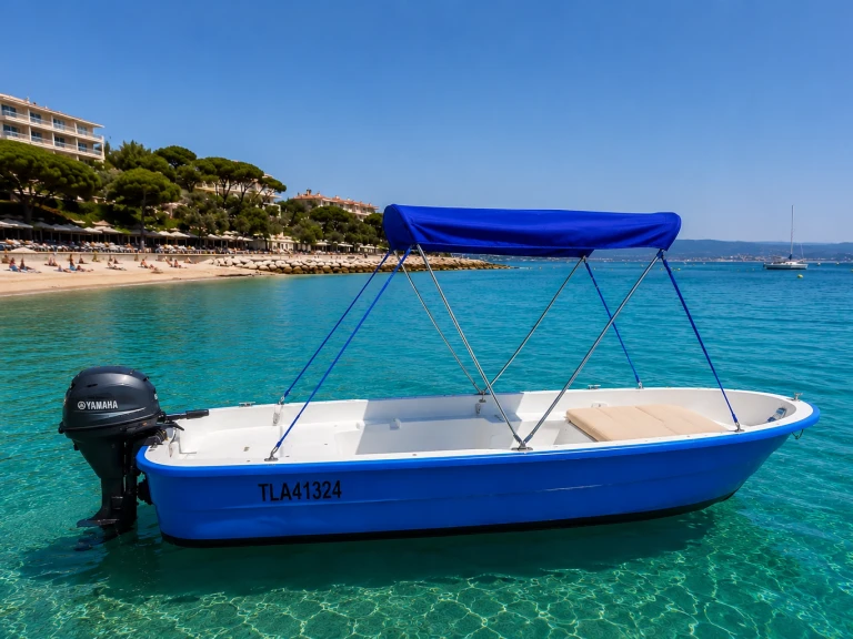 Wynajem w Six-Fours-les-Plages- Yac fun  Yac fun 450 na SamBoat