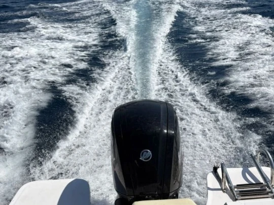 Motorówka do wynajmu w Port de Palamós w najlepszej cenie