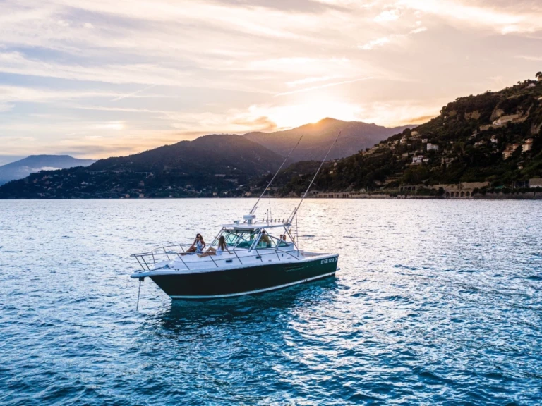 Wynajem w Marsylia- Pursuit 3400 na SamBoat