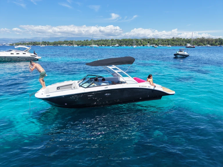 Sea Ray SDX 27 E między profesjonalistami a osobami prywatnymi w Port La Napoule