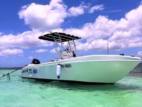 Wynajem łodzi Forboat 23' w Pointe-à-Pitre na SamBoat 