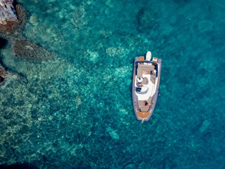 Barracuda Aquamax B23F między profesjonalistami a osobami prywatnymi w Hvar