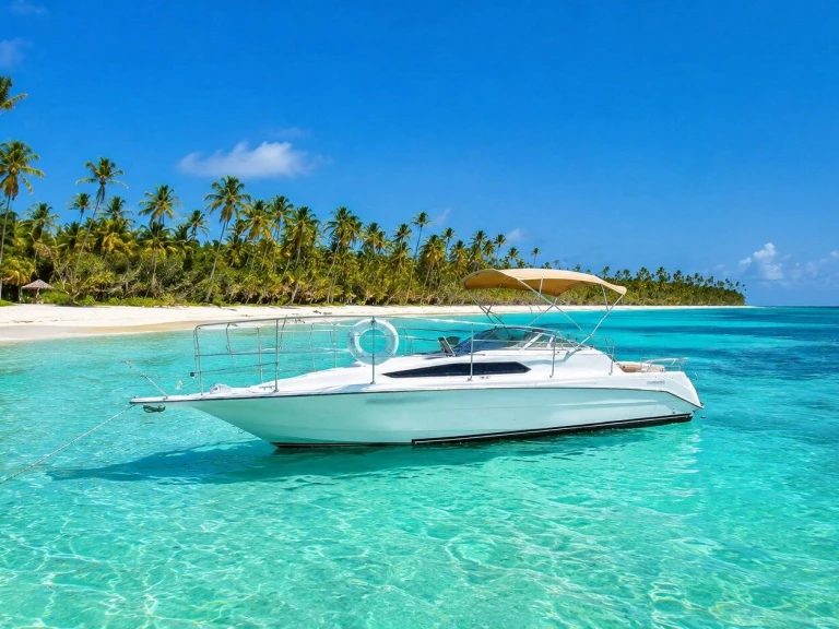 Wynajmij Custom Made custom w Punta Cana