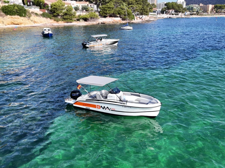  do wynajmu w Palma de Mallorca w najlepszej cenie
