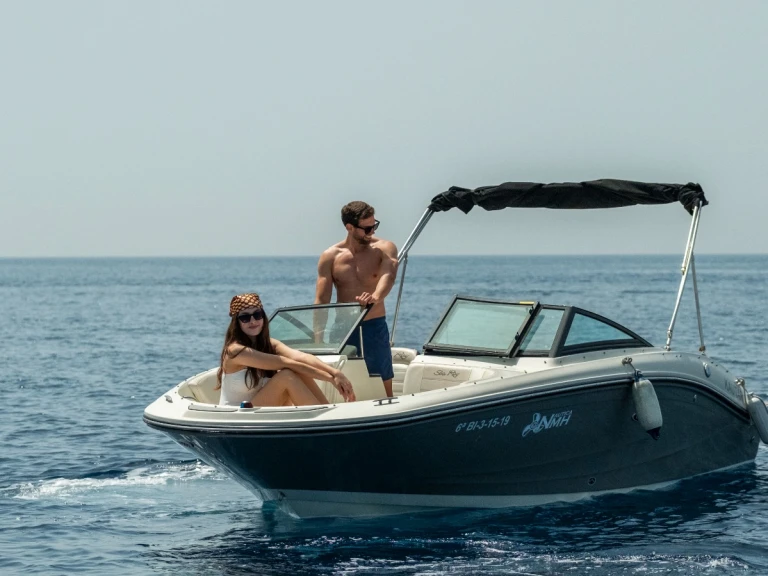 Wynajem łodzi Sea Ray SPX 190 w La Herradura na SamBoat 