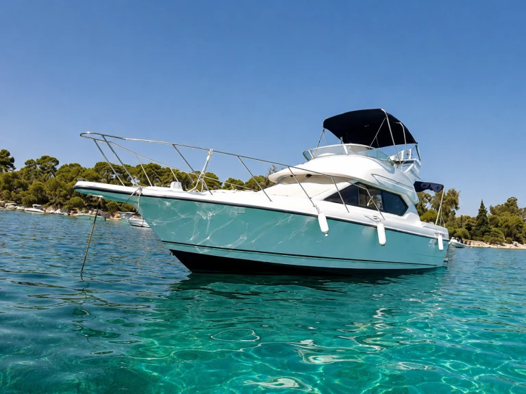 Bayliner Bayliner 2858 Fly między profesjonalistami a osobami prywatnymi w Mandelieu-la-Napoule