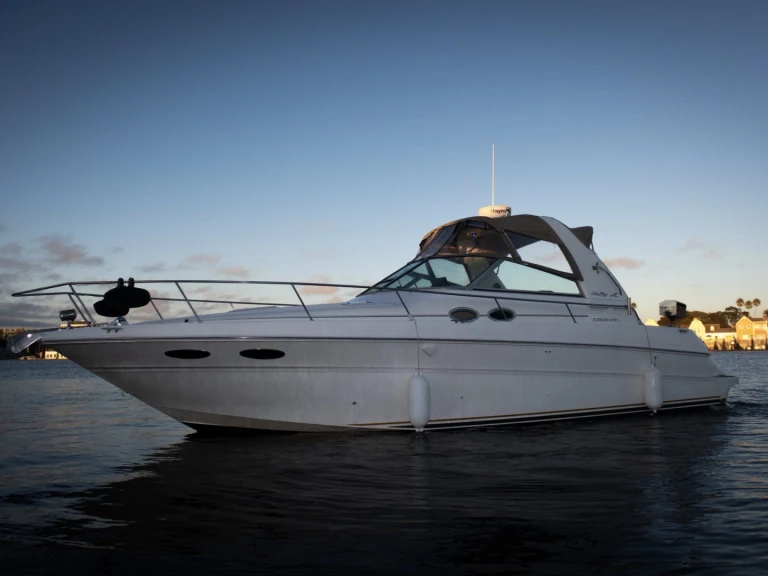 Wynajem Motorówka Sea Ray z patentem 