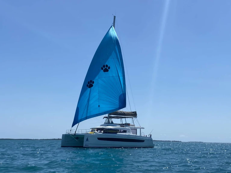 Wynajem Luksusowy jacht w Bahamy - Bali NAUTI DOGS 5.4
