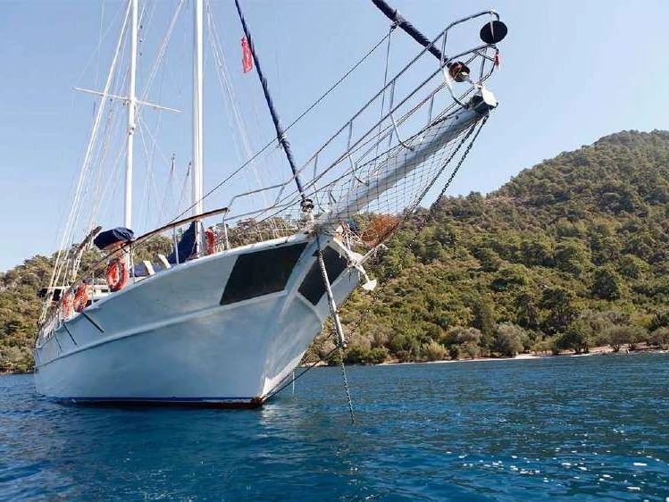 Custom Made Custom made między profesjonalistami a osobami prywatnymi w Marmaris