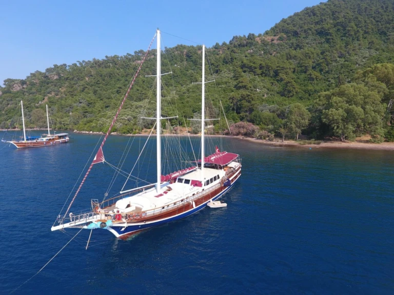 Custom Made Custom made między profesjonalistami a osobami prywatnymi w Fethiye