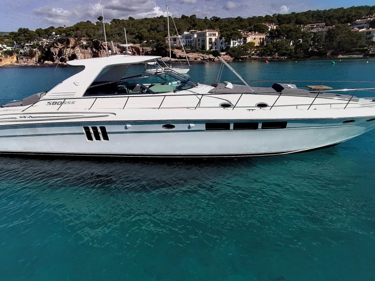 Sea Ray Sea Ray 580 Super Sun Sport między profesjonalistami a osobami prywatnymi w Palma de Mallorca