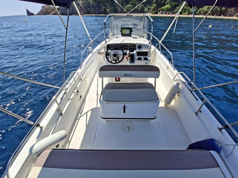 Wynajem łodzi Boston Whaler Boston Whaler 220 Dauntless w Port de la Rague na SamBoat 