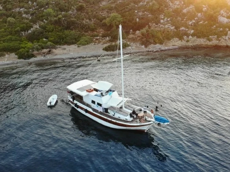 Custom Made Custom made między profesjonalistami a osobami prywatnymi w Marmaris