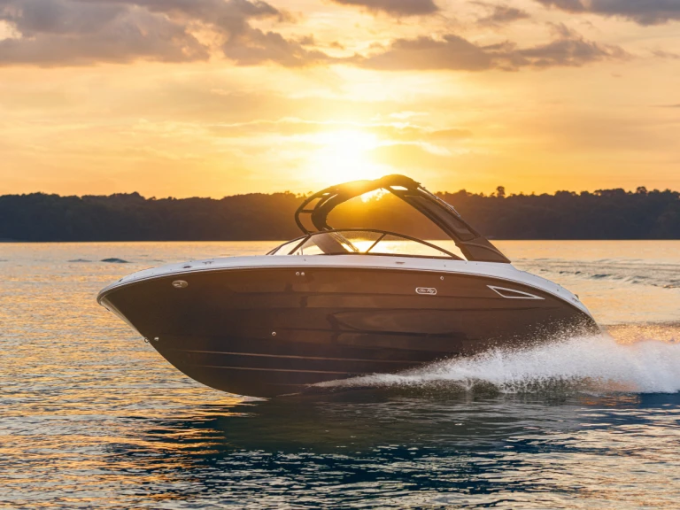Wynajem Motorówka Sea Ray z patentem 