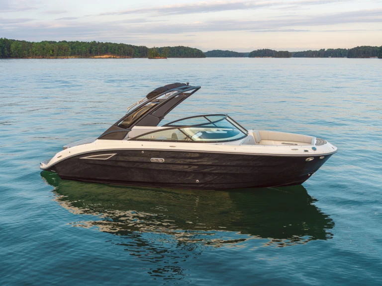Sea Ray  250 sdx między profesjonalistami a osobami prywatnymi w Port d'Arcachon