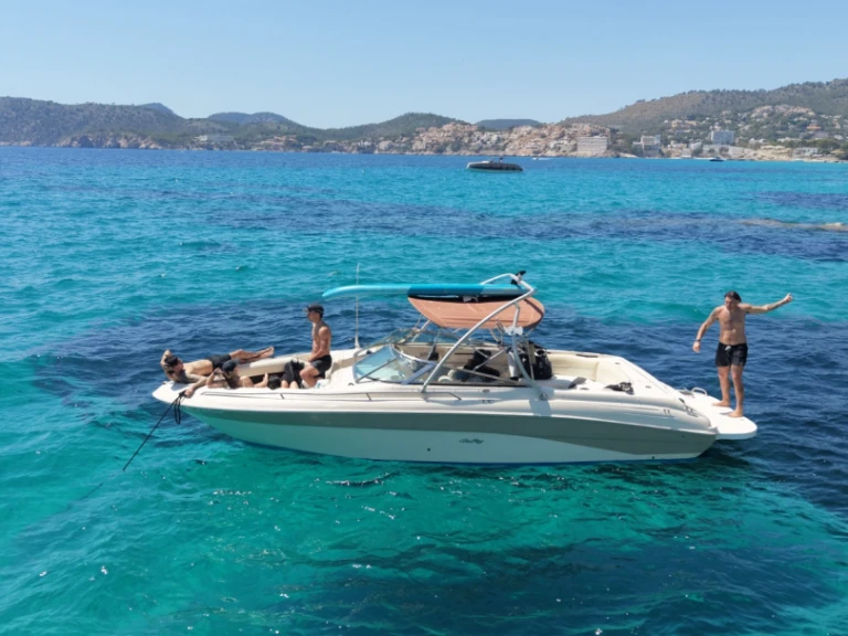 Wynajmij Sea Ray Sea Ray 260 w Santa Ponsa