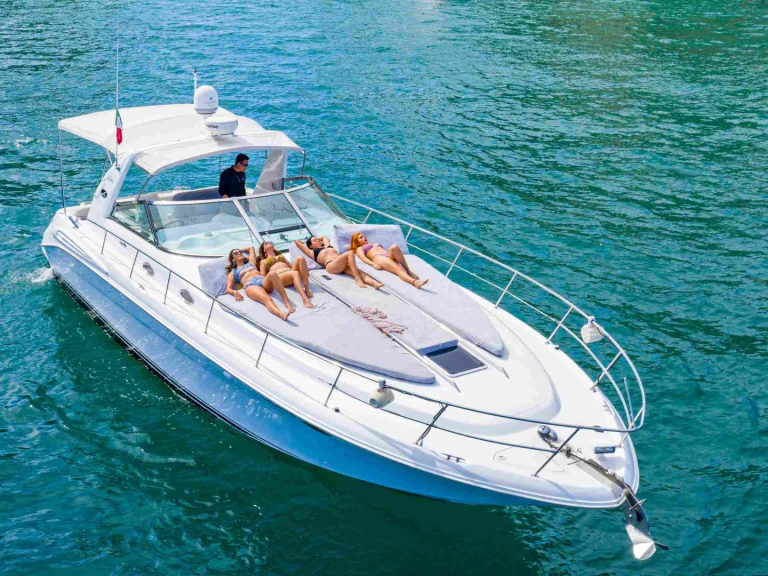Wynajem łodzi Cabo San Lucas tanio Sea Ray 420 Sundancer